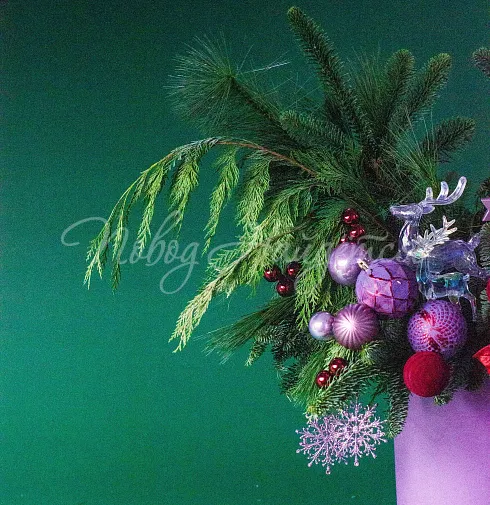 Заметает зима