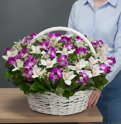 Корзина Токио — Повод Найдется