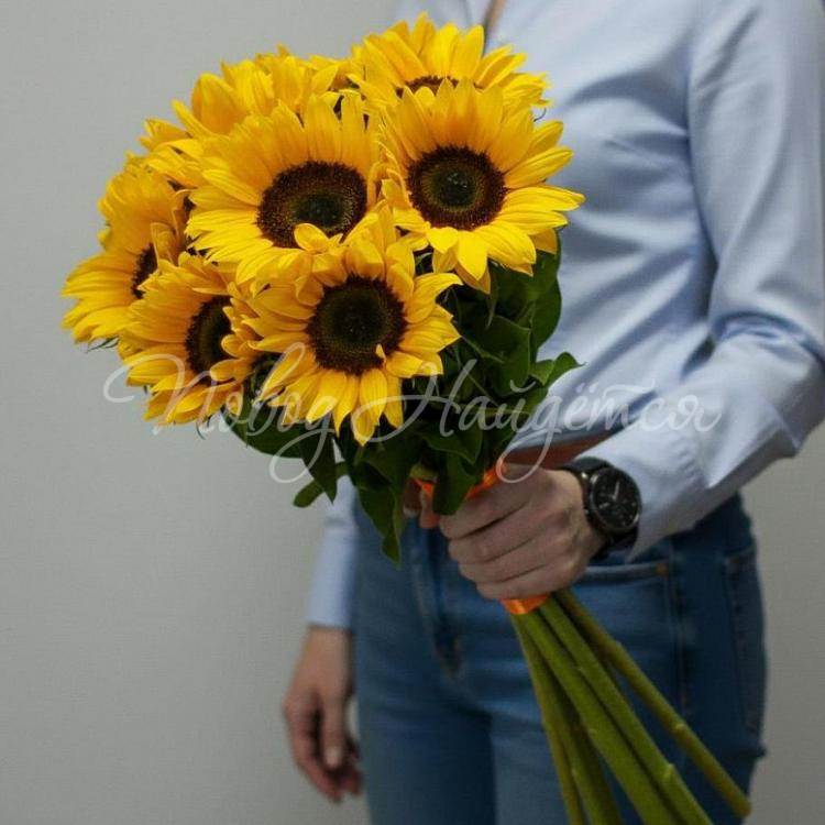 Цветы Букет Солнечные зайчики