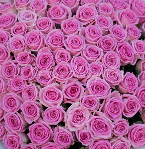 Букет Бристоль — Повод Найдется