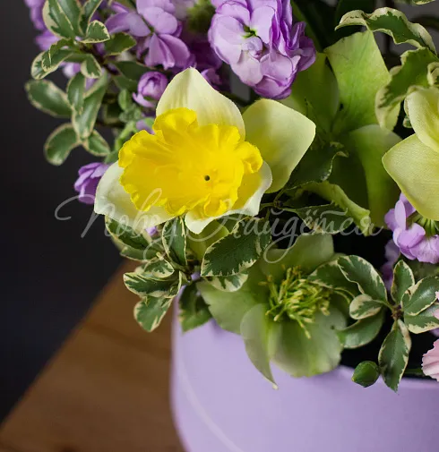 Корпоративный 056