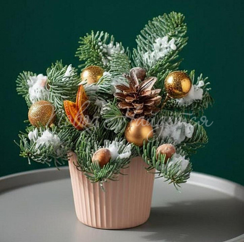 Новый год 23