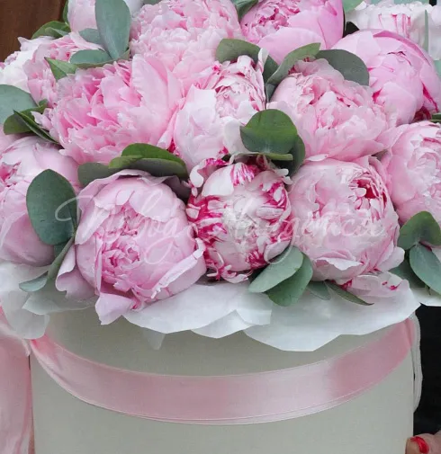 Букет 25 пионов в коробке — Повод Найдется