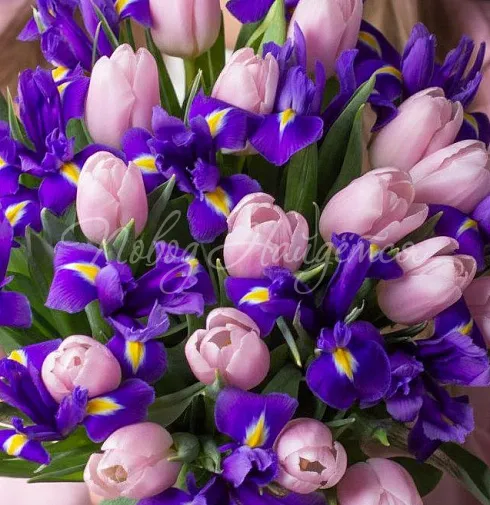 Букет Весенние грезы — Повод Найдется