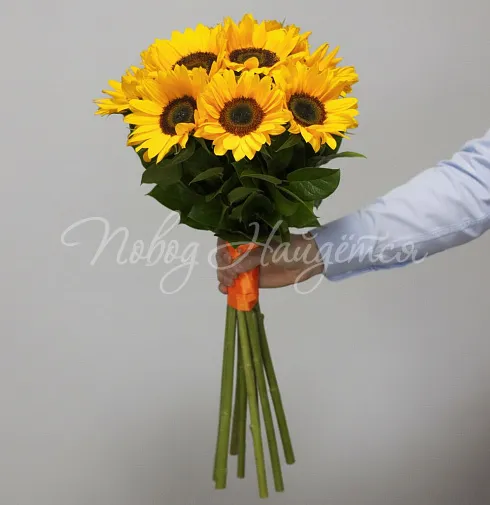 Букет Солнечные зайчики — Повод Найдется