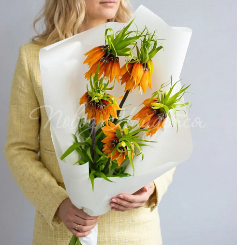 Букет Лилу — Повод Найдется