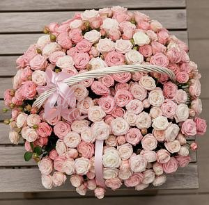 Корзина Визави