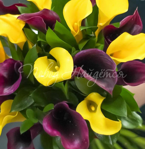 Букет Огонь желания — Повод Найдется