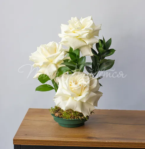 Цветочная композиция Композиция №125 — Повод Найдется