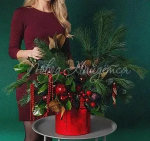 Новый год Зимний румянец