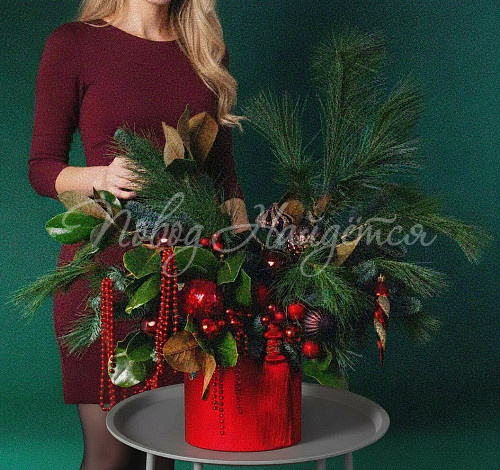 Зимний румянец