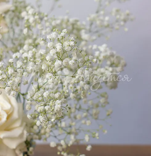 Цветочная композиция Композиция №124 — Повод Найдется