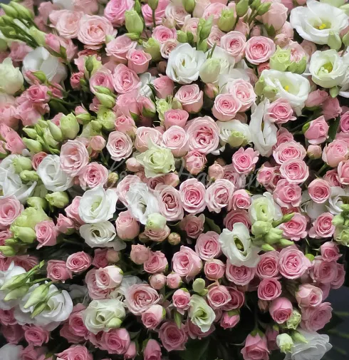 Букет Королевство — Повод Найдется