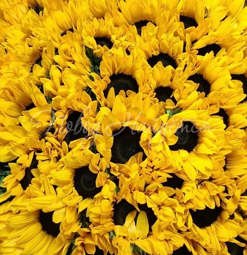 Букет Солнечные объятия — Повод Найдется