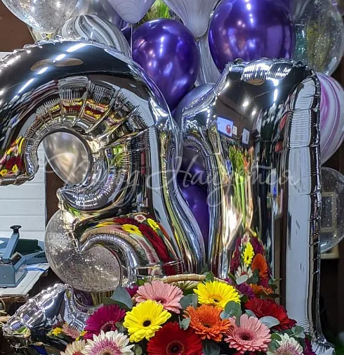 Шары Complex 05 — Повод Найдется