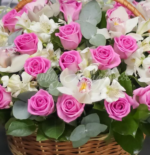 Корзина Тунис — Повод Найдется