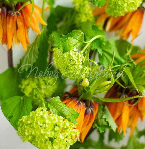 Букет Выстрел Эндорфинов — Повод Найдется