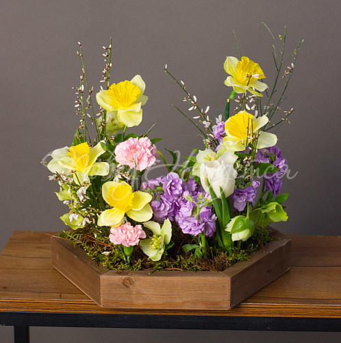 8.03 Расцветай и цвети!