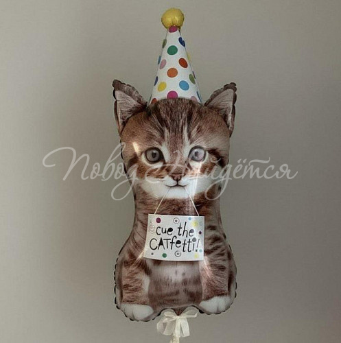 Шары Котенок в колпаке