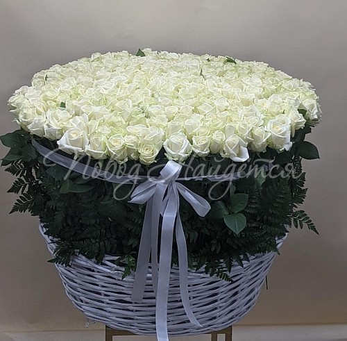 Букет из 201 розы «201 белая роза в корзине»