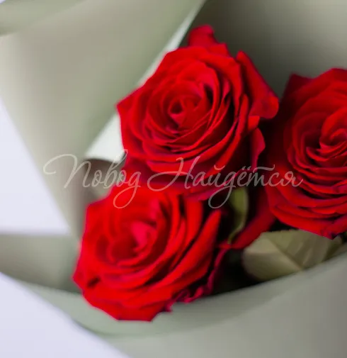 Букет 3 красные розы с бесплатной доставкой — Повод Найдется