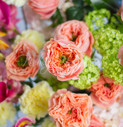 Букет Солнце Колорадо — Повод Найдется