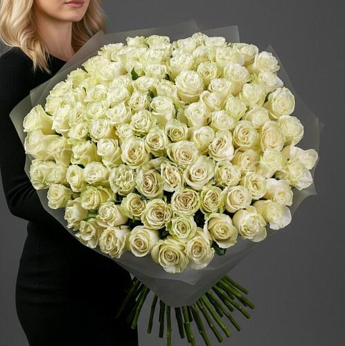 101 роза Букет Мондиаль