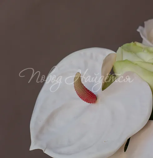 Цветочная композиция Композиция №118 — Повод Найдется