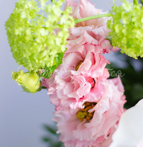 Букет Знакомый силуэт — Повод Найдется