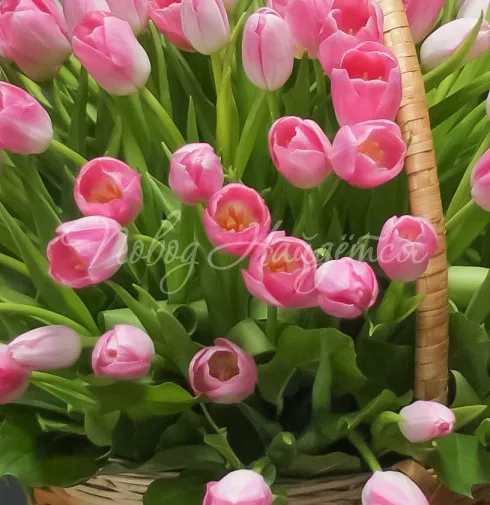 Букет Розовое мерцание — Повод Найдется