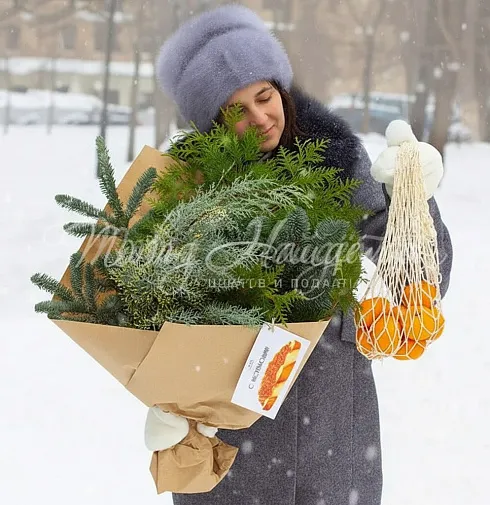 Мороз и Солнце