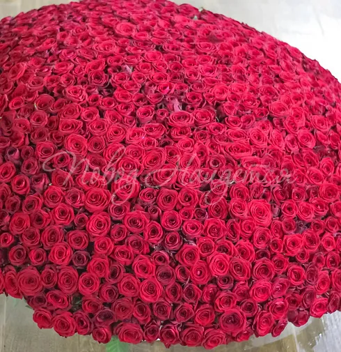 Букет 1001 роза в корзине — Повод Найдется