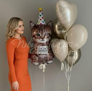 Шары Облако шаров" Котик Мур"
