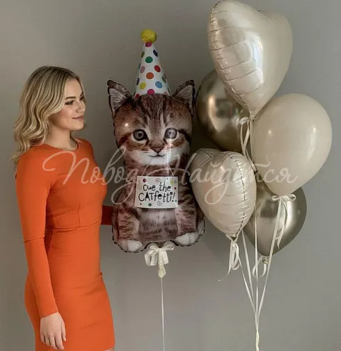 Шары Облако шаров" Котик Мур" — Повод Найдется