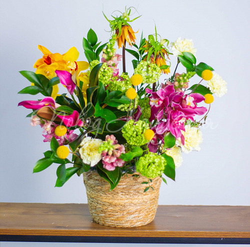 Корзины Букет Тропические Джунгли