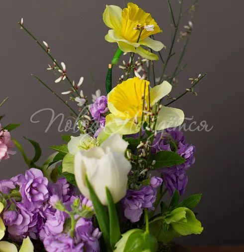 Букет Расцветай и цвети! — Повод Найдется