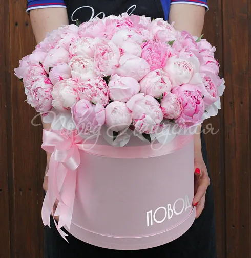 Букет 51 пион в коробке — Повод Найдется