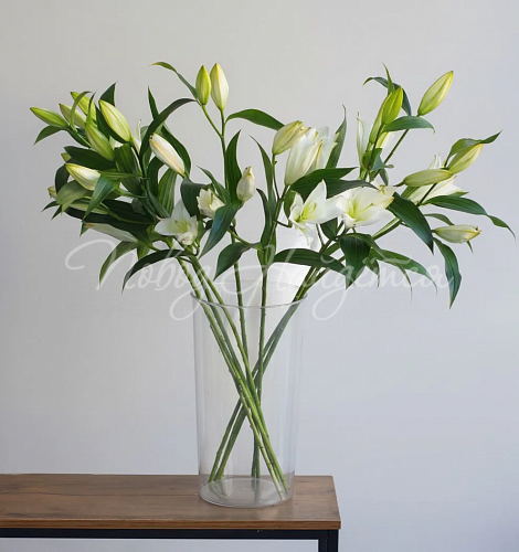 Вазы для цветов Ваза пластиковая, 40 см