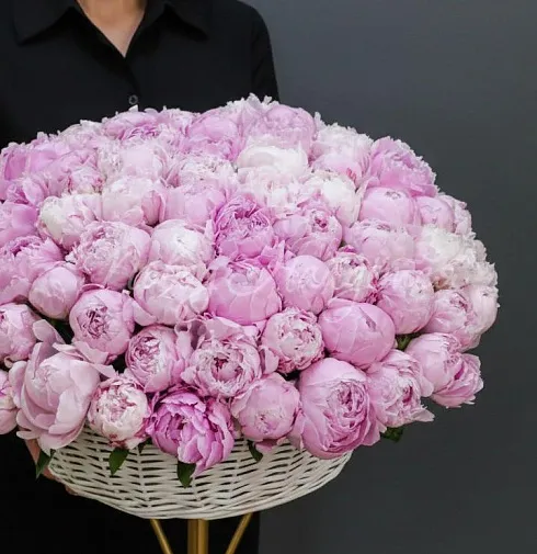 Букет 101 пион — Повод Найдется