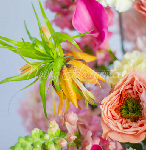 Букет Солнце Колорадо — Повод Найдется