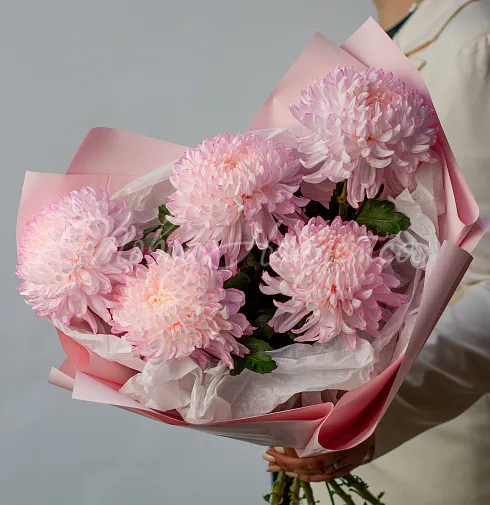 Букет Джерси — Повод Найдется