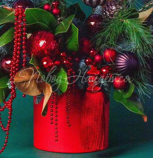 Зимний румянец