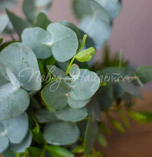 Цветочная композиция Композиция № 350 — Повод Найдется