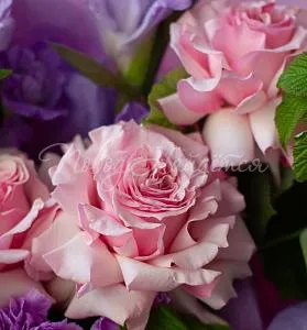 ГЛАДИОЛУСЫ Букет Лимонад