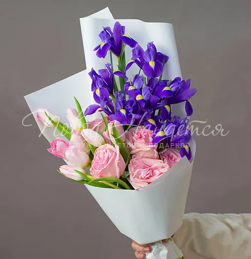 Букет Феличита — Повод Найдется