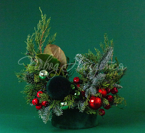 Уютная компания