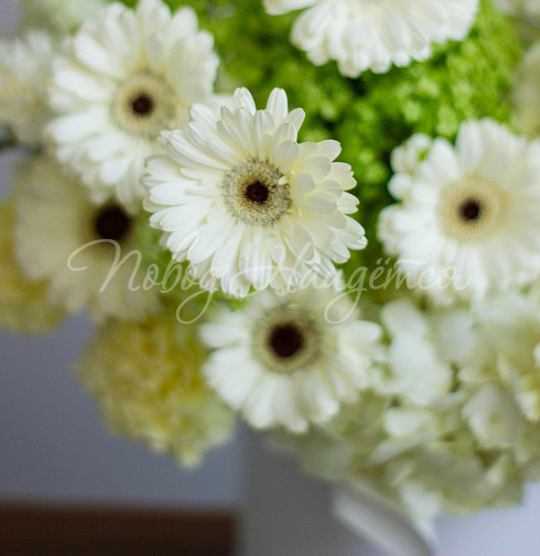 Букет Искорка льда — Повод Найдется