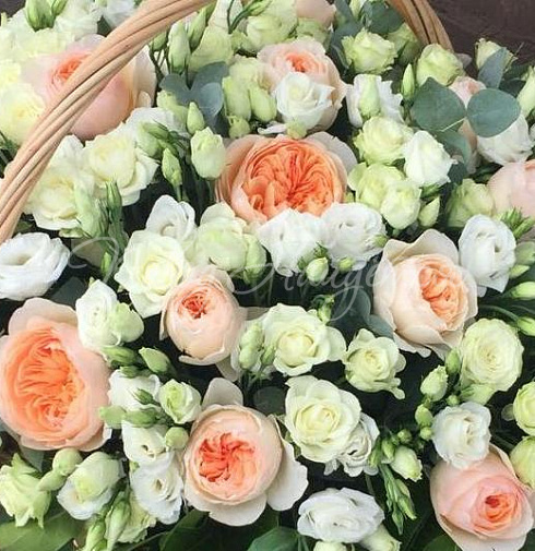 Корзина Утренний романс — Повод Найдется