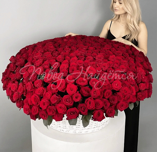 Розы Букет Детройт