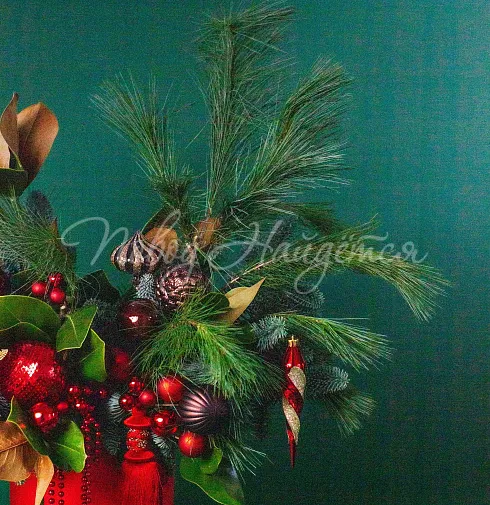 Зимний румянец